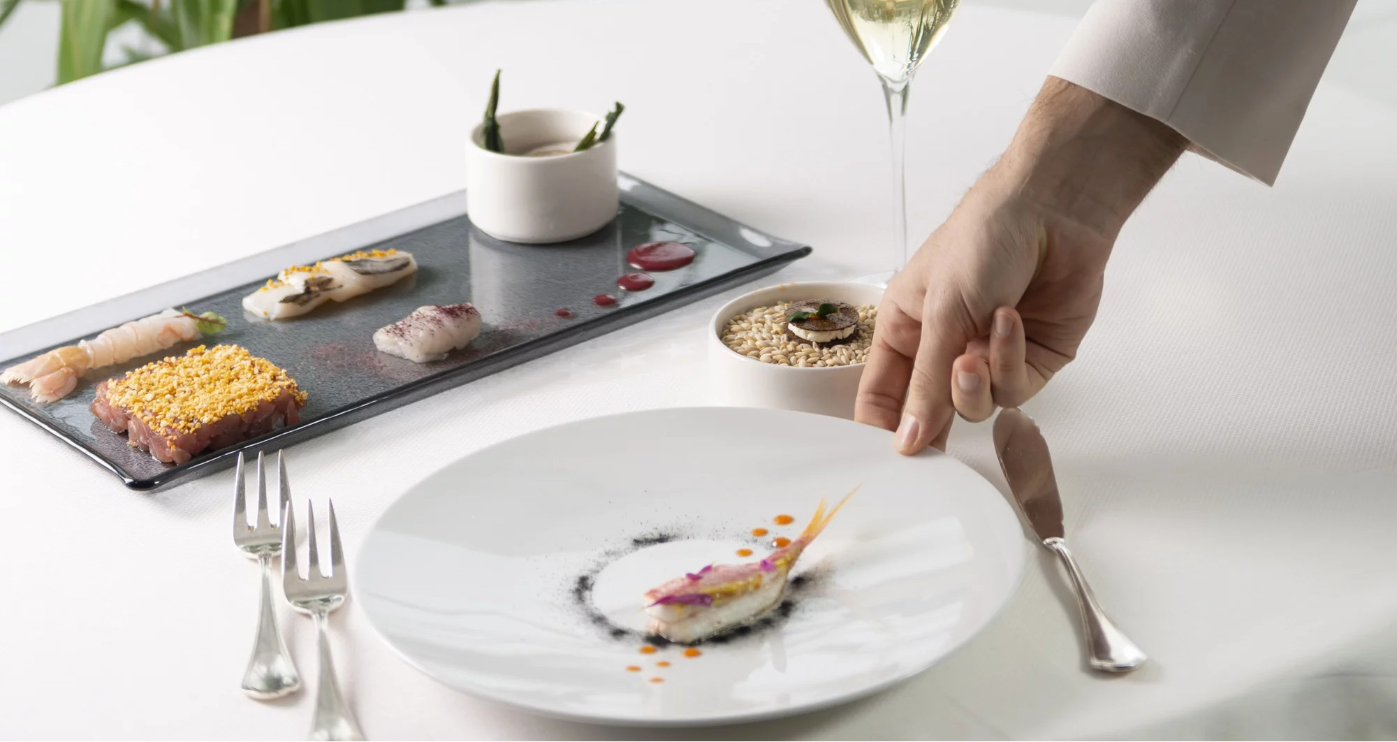 media.Slide-Pesce-Green-Restaurant-Riccione