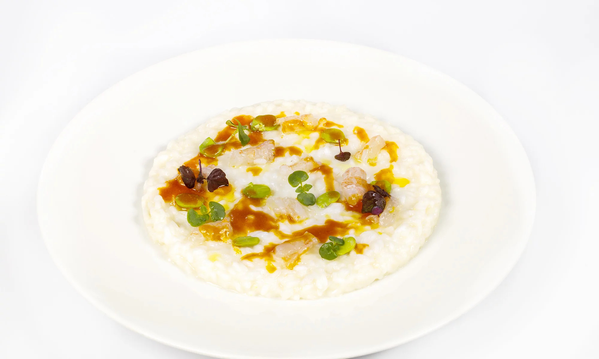 media.Slide-Cucina4-Green-Restaurant-Riccione