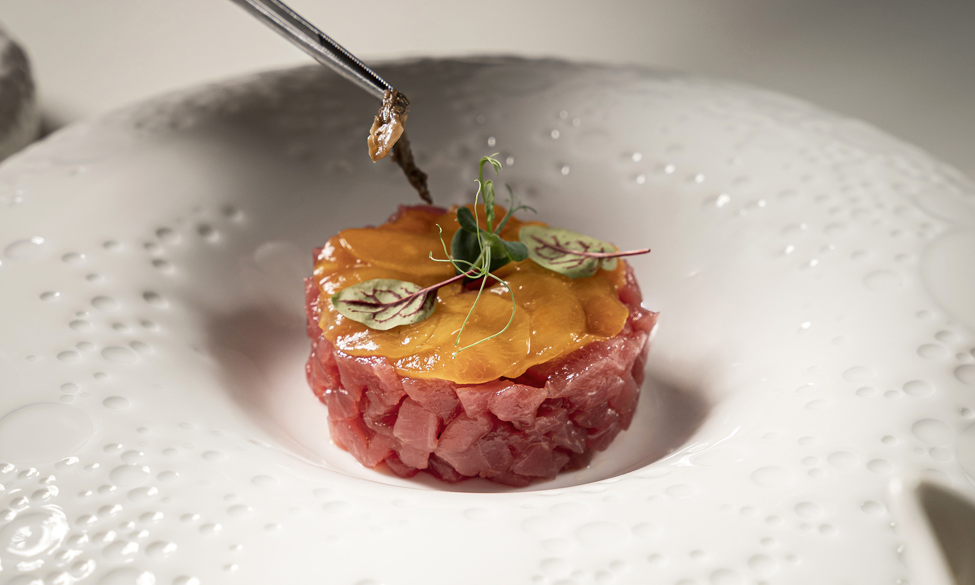 media.White & Blue - Tartare di Tonno e Agrumi - 2000px